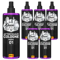 TSF-AFT-COL-01-PAC-PAKIET6_0